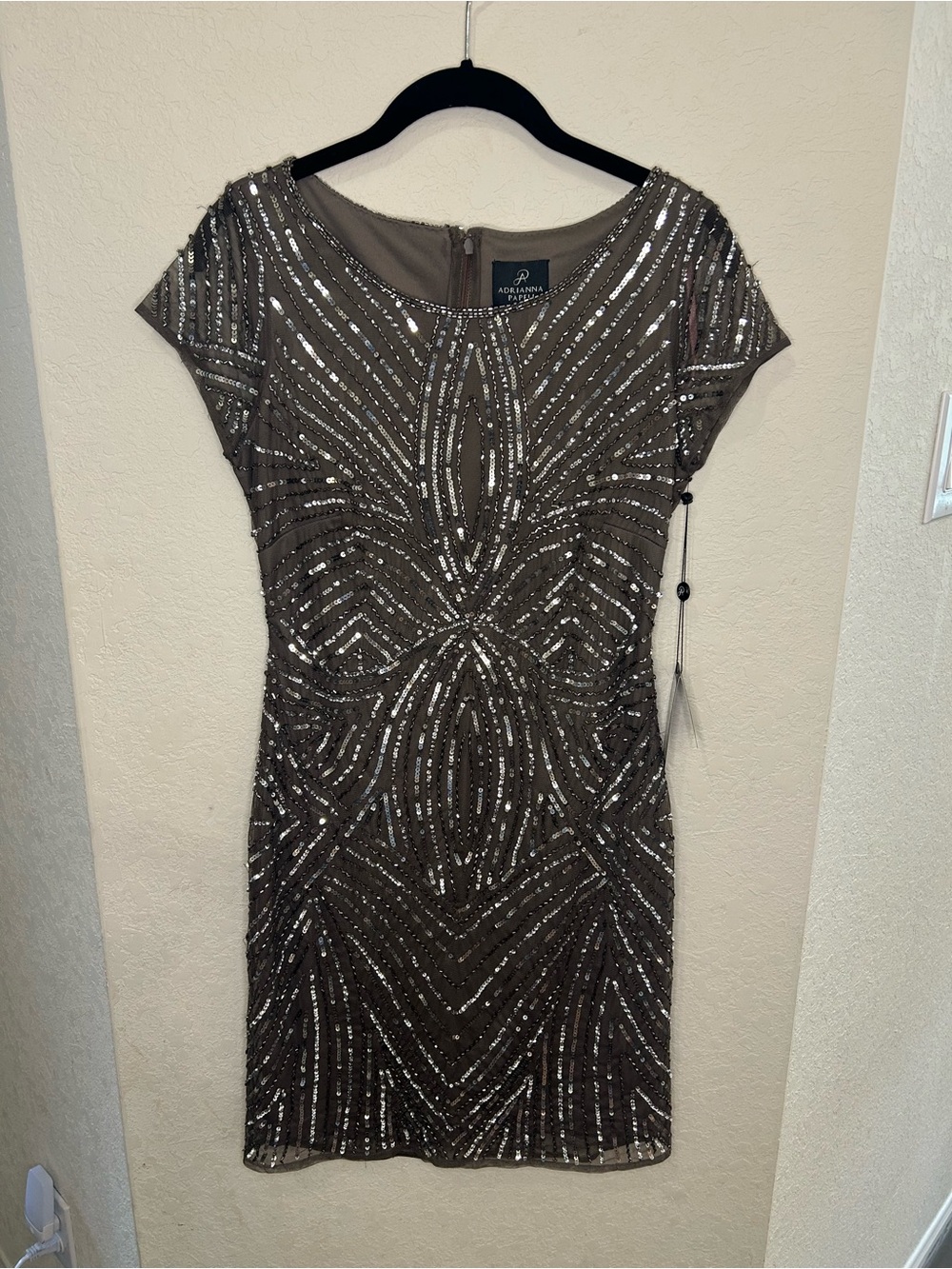 Adrianna Papell Taupe Dress with Silver Beading